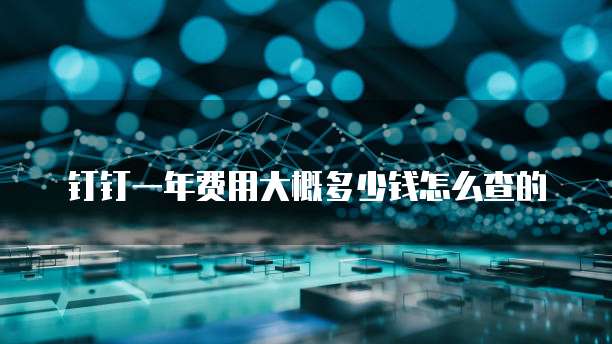 钉钉一年费用大概多少钱怎么查的
