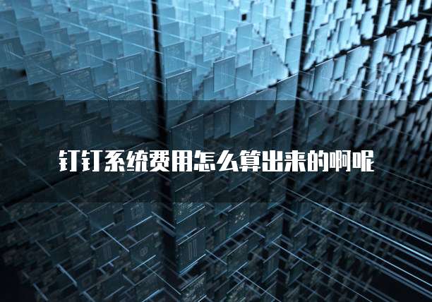 钉钉系统费用怎么算出来的啊呢