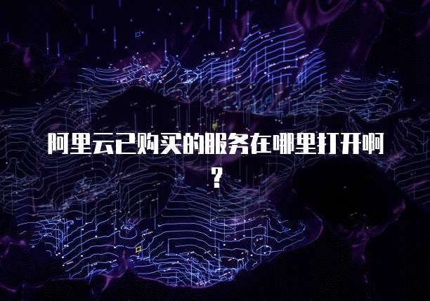 阿里云已购买的服务在哪里打开啊?