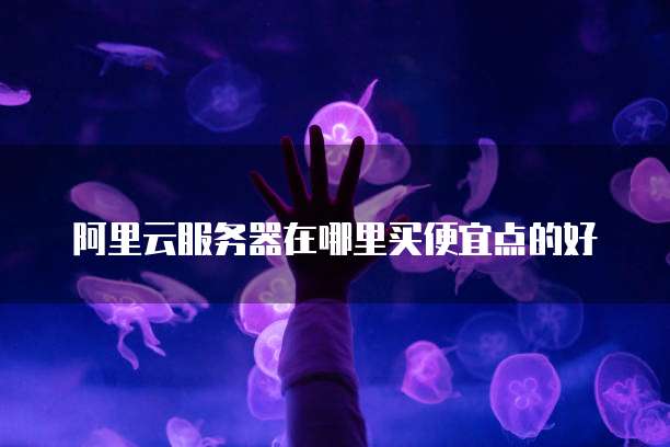 阿里云服务器在哪里买便宜点的好