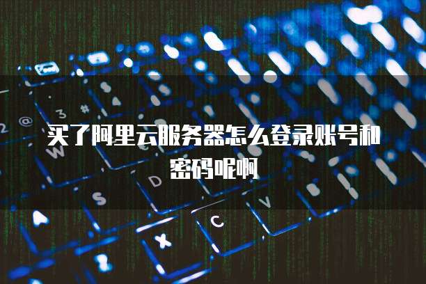 买了阿里云服务器怎么登录账号和密码呢啊