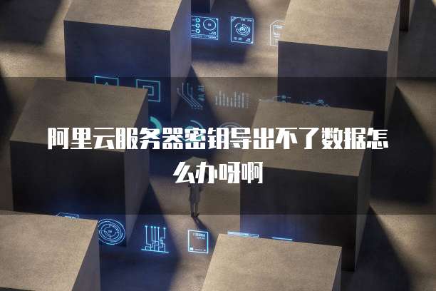 阿里云服务器密钥导出不了数据怎么办呀啊
