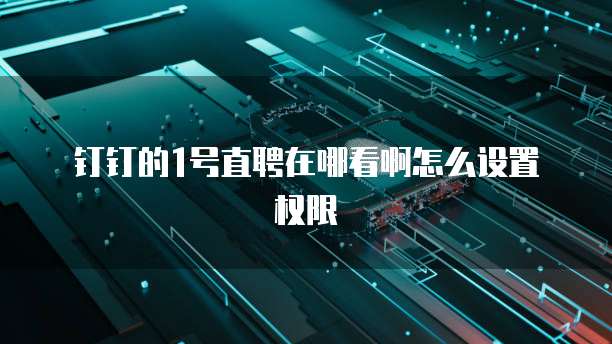 钉钉的1号直聘在哪看啊怎么设置权限