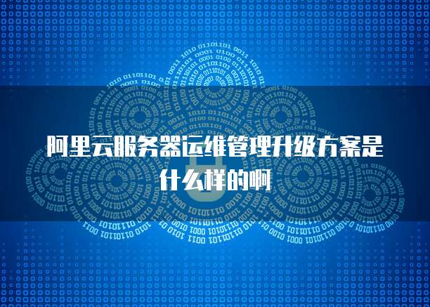 阿里云服务器运维管理升级方案是什么样的啊