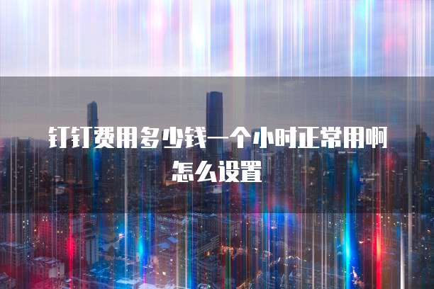 钉钉费用多少钱一个小时正常用啊怎么设置