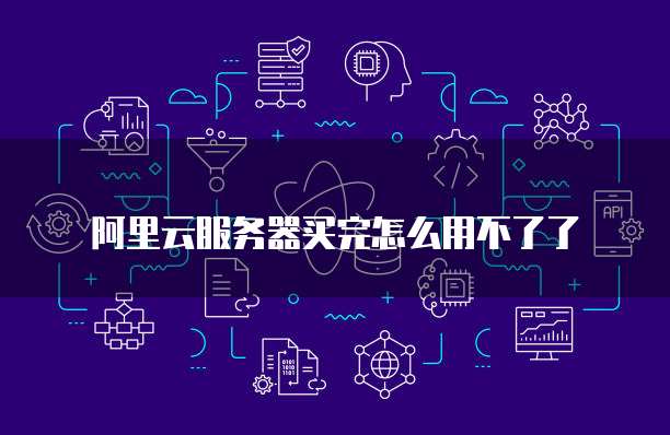阿里云服务器买完怎么用不了了
