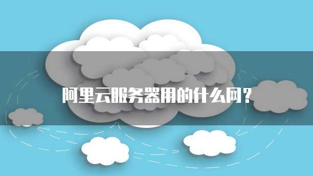 阿里云服务器用的什么网？