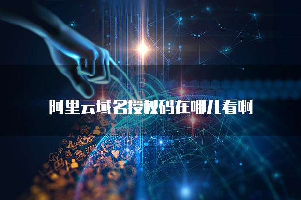 阿里云域名授权码在哪儿看啊