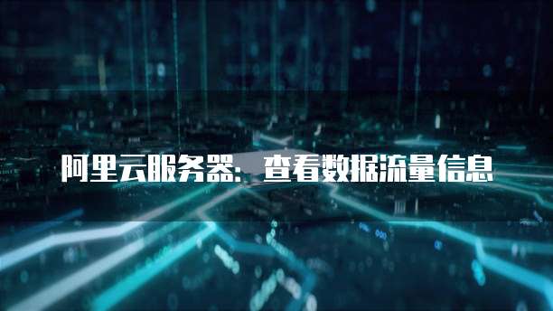 阿里云服务器:查看数据流量信息