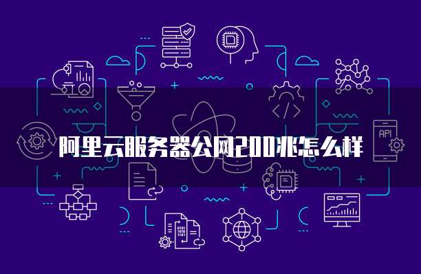 阿里云服务器公网200兆怎么样