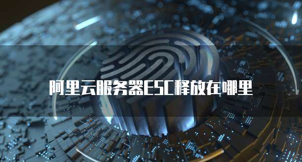 阿里云服务器ESC释放在哪里