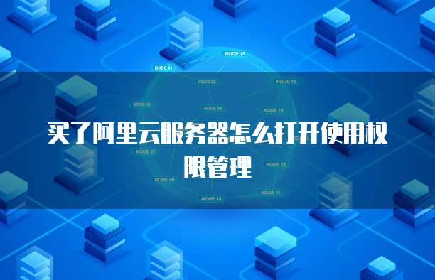 买了阿里云服务器怎么打开使用权限管理