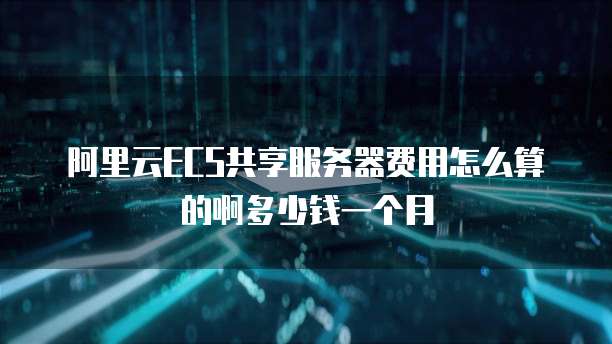 阿里云ECS共享服务器费用怎么算的啊多少钱一个月