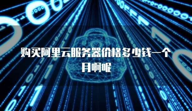 购买阿里云服务器价格多少钱一个月啊呢