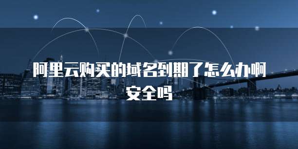 阿里云购买的域名到期了怎么办啊安全吗