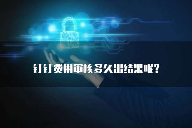 钉钉费用审核多久出结果呢?