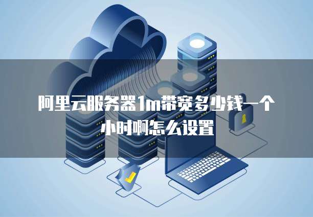 阿里云服务器1m带宽多少钱一个小时啊怎么设置