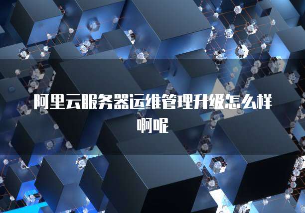 阿里云服务器运维管理升级怎么样啊呢