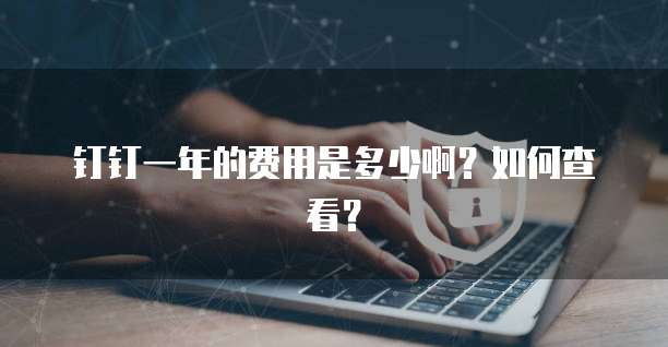 钉钉一年的费用是多少啊?如何查看?