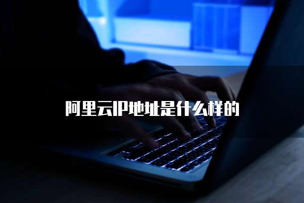 阿里云IP地址是什么样的