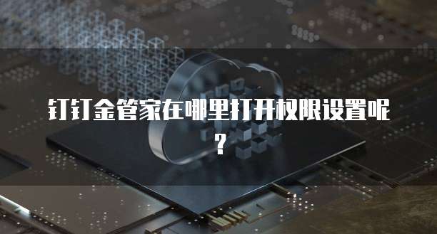 钉钉金管家在哪里打开权限设置呢?