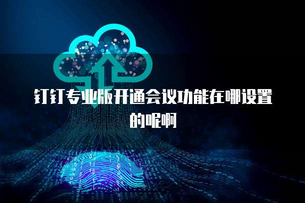 钉钉专业版开通会议功能在哪设置的呢啊