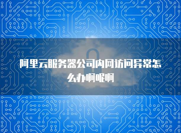 阿里云服务器公司内网访问异常怎么办啊呢啊