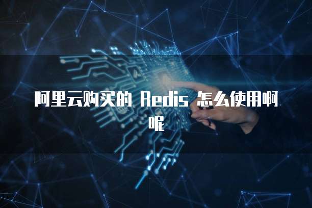 阿里云购买的 Redis 怎么使用啊呢