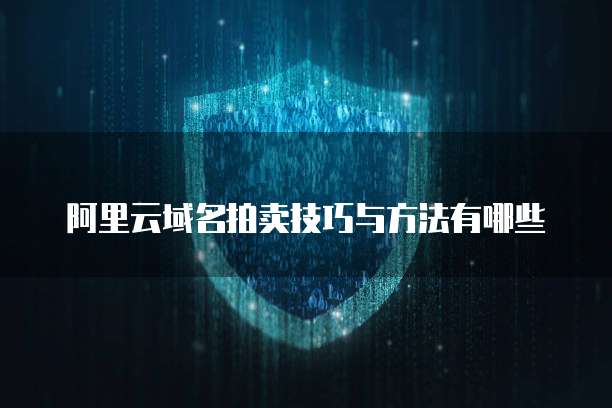 阿里云域名拍卖技巧与方法有哪些