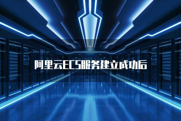 阿里云ECS服务建立成功后