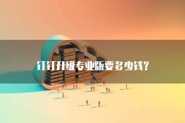 钉钉升级专业版要多少钱？