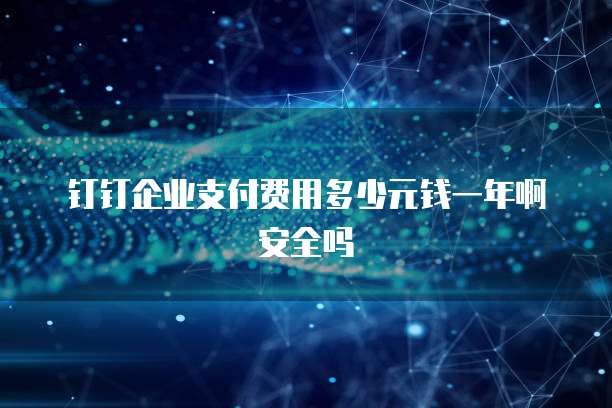 钉钉企业支付费用多少元钱一年啊安全吗