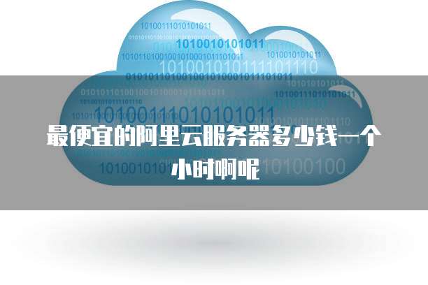最便宜的阿里云服务器多少钱一个小时啊呢