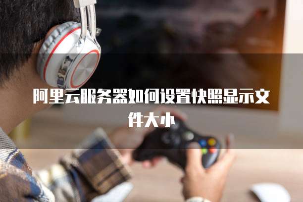 阿里云服务器如何设置快照显示文件大小