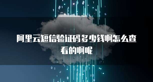 阿里云短信验证码多少钱啊怎么查看的啊呢