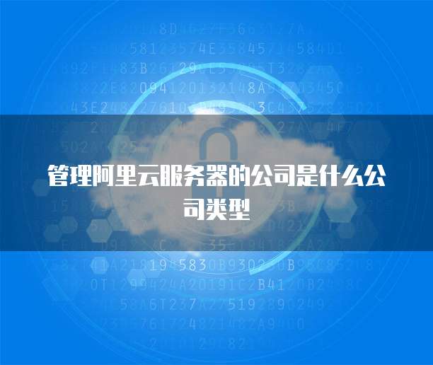 管理阿里云服务器的公司是什么公司类型