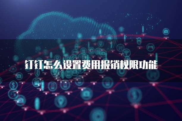 钉钉怎么设置费用报销权限功能