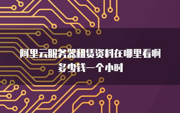 阿里云服务器租赁资料在哪里看啊多少钱一个小时
