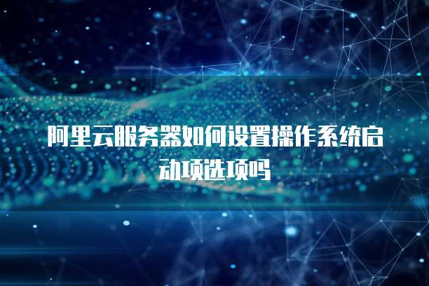 阿里云服务器如何设置操作系统启动项选项吗