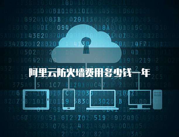 阿里云防火墙费用多少钱一年
