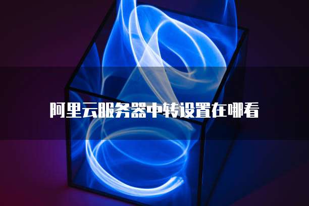 阿里云服务器中转设置在哪看