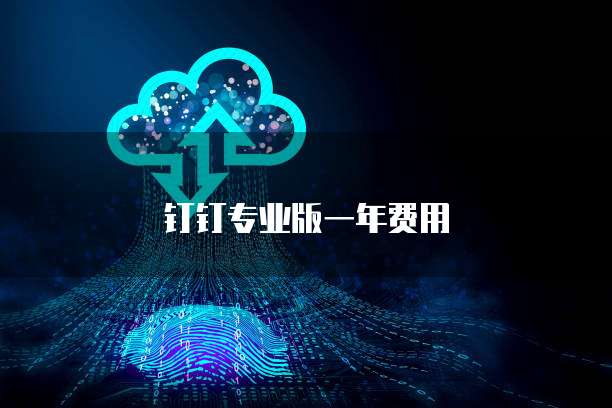 钉钉专业版一年费用