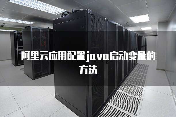 阿里云应用配置java启动变量的方法