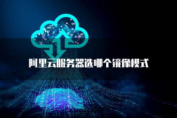 阿里云服务器选哪个镜像模式