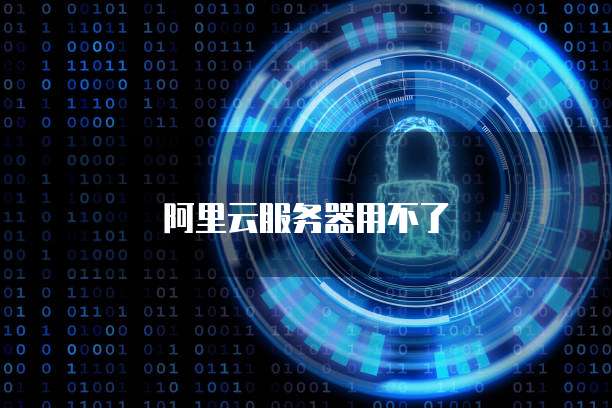 阿里云服务器用不了