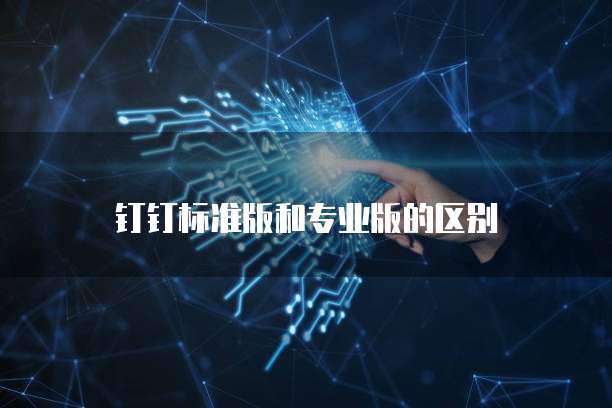 钉钉标准版和专业版的区别