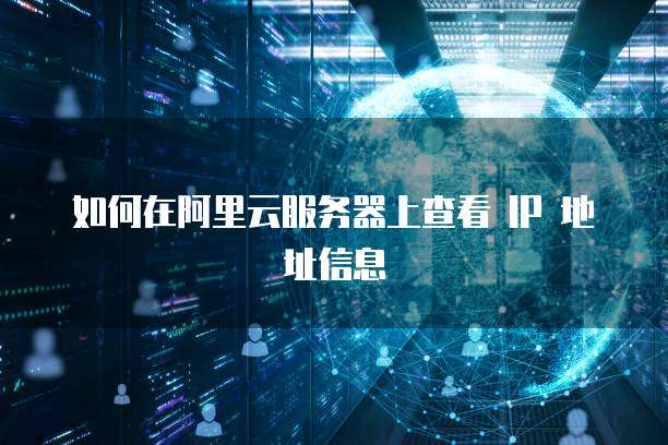 如何在阿里云服务器上查看 IP 地址信息