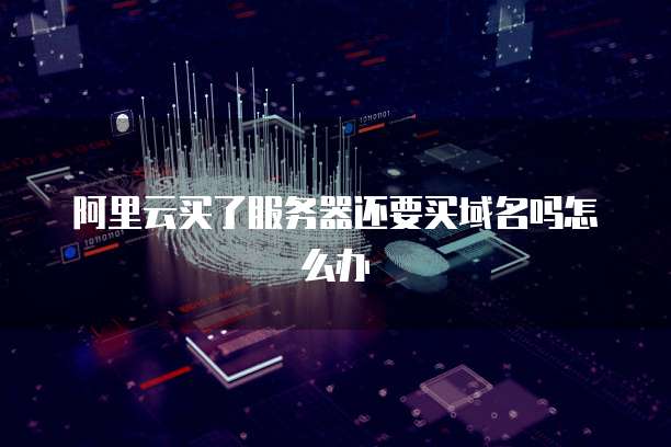 阿里云买了服务器还要买域名吗怎么办