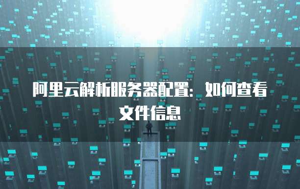 阿里云解析服务器配置:如何查看文件信息