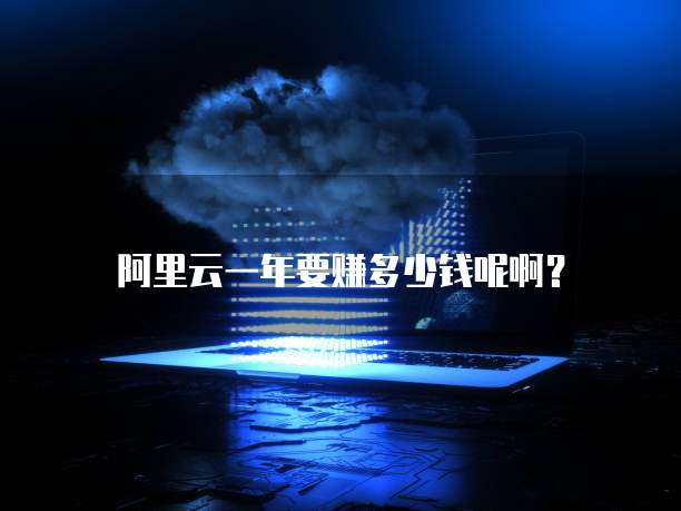 阿里云一年要赚多少钱呢啊?